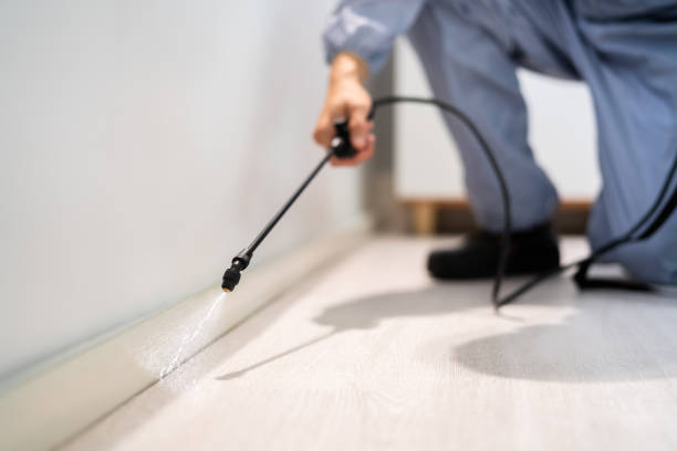 Licensed Pest Control service in Walnut Cove, NC - Show Me Pest Control