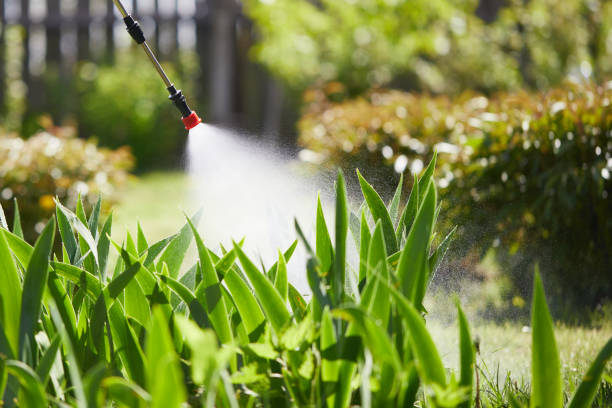 Tamper-Resistant Bait Stations for Rodents in Walnut Cove