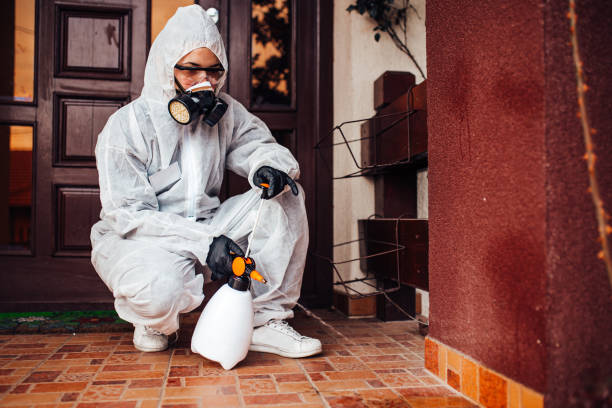 Attic and Crawl Space Rodent Treatment in Walnut Cove