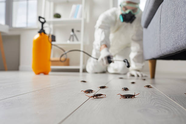 Commercial Rodent Management in Walnut Cove